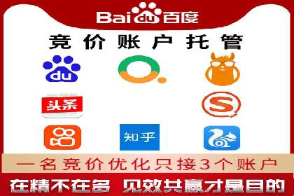 真实案例解析：SEM代运营托管公司的优势与挑战